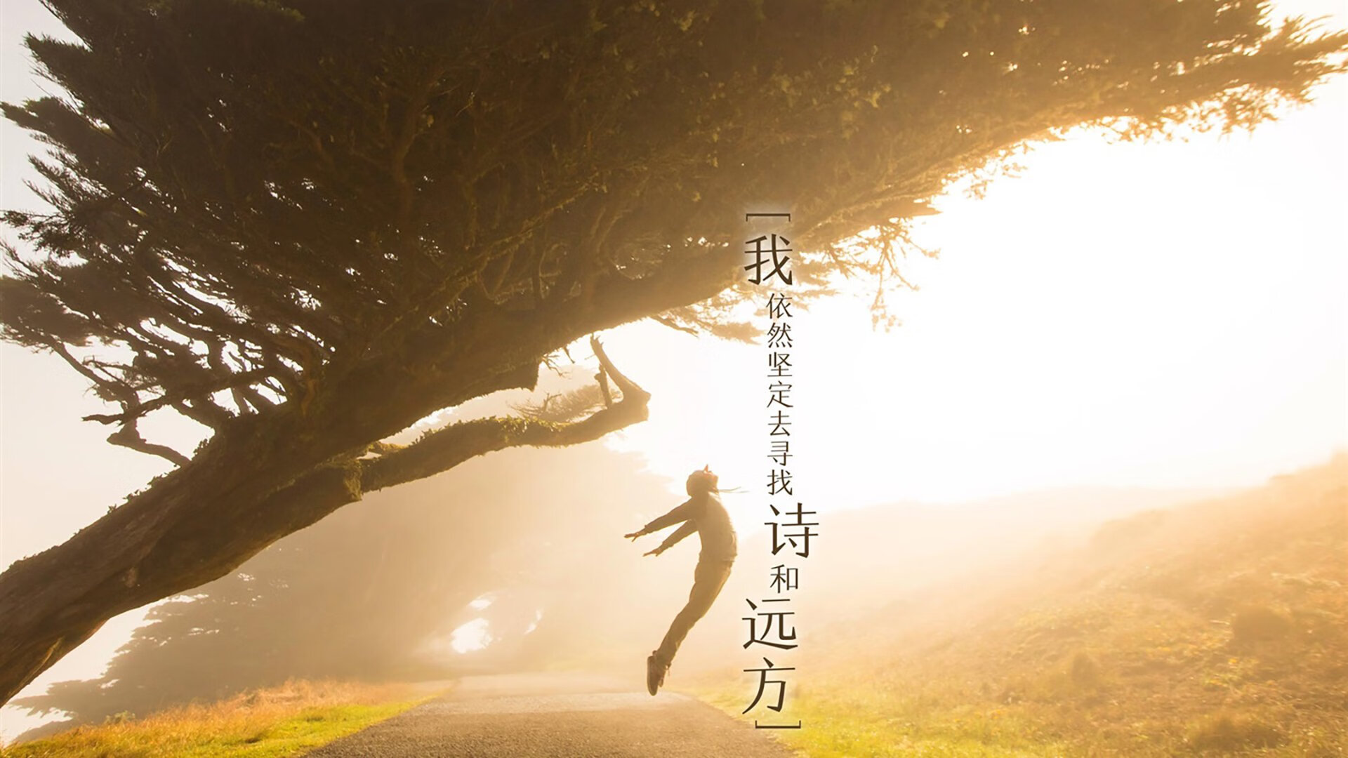 熊猫体育平台安全-_年度最佳单场比赛：精彩回放引爆全场_，单场最高得分