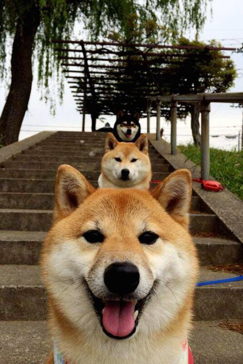 “中超豪门引入青训合作,培养梯队人才”,中超青训大户