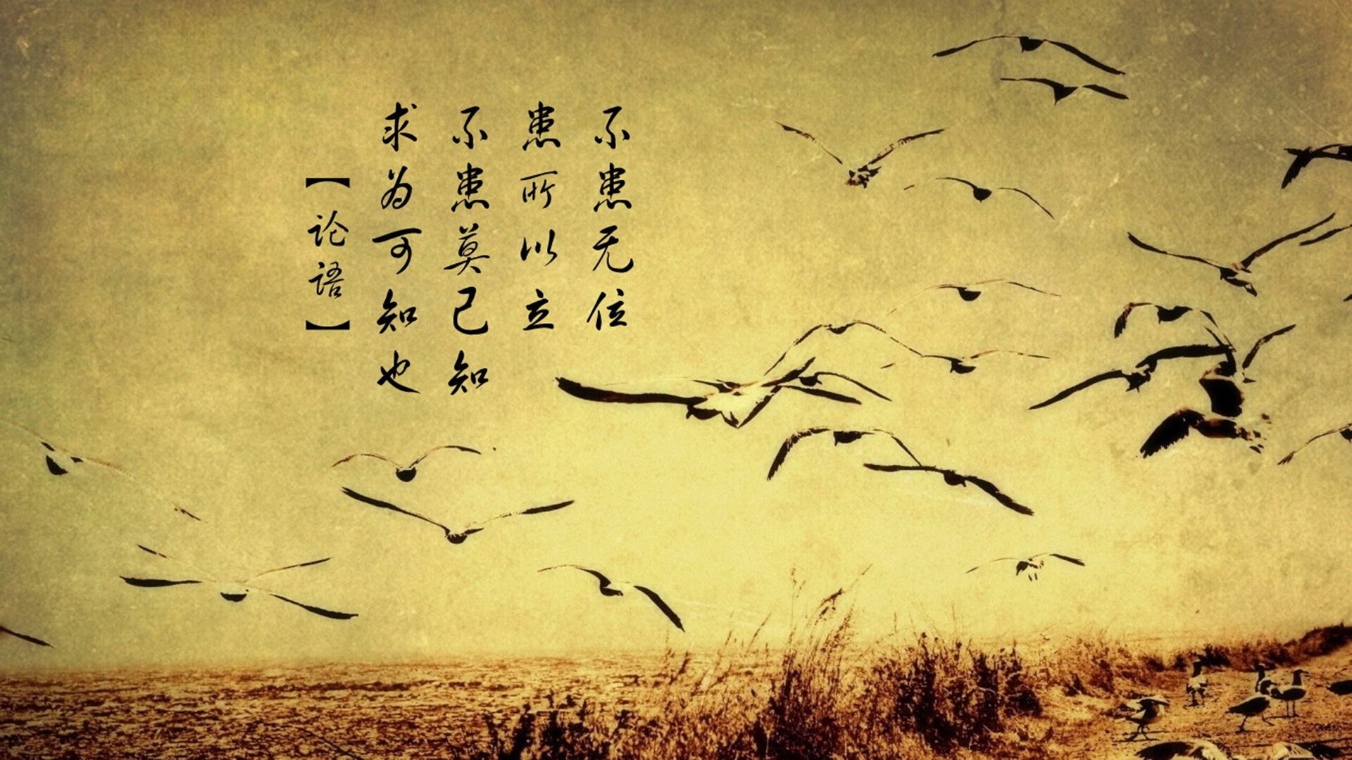 【国际比赛】丁俊晖携中国队勇夺团体赛金牌,丁俊晖资格赛