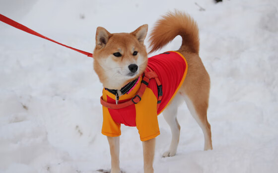 【比赛尚未结束】新规则下的延长赛逻辑,比赛延迟怎么算