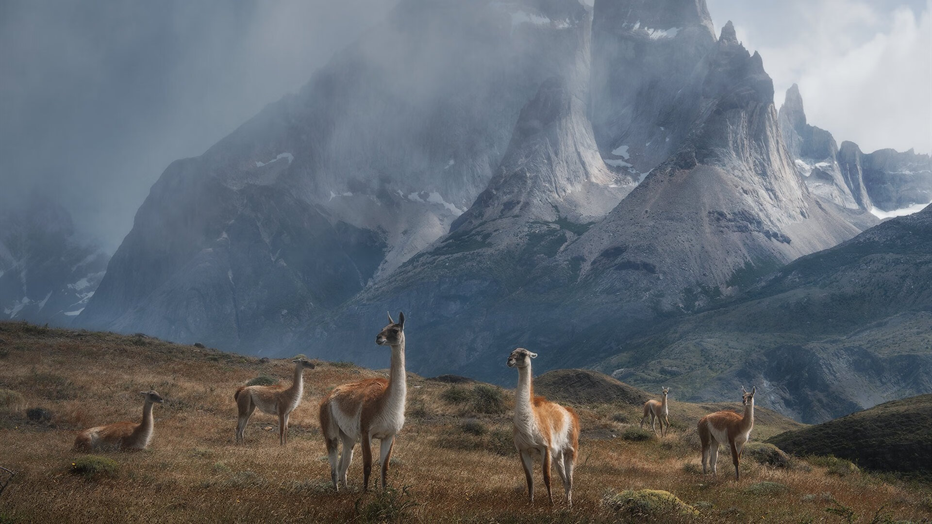 【比赛精彩】丁俊晖如何利用细节战术打破对手防线,丁俊晖新打法