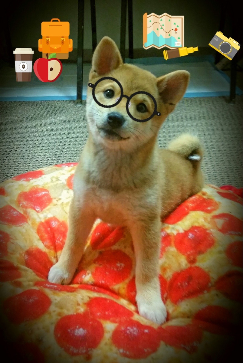 今年联盟最具爆发力的新人是谁?,最近联盟有什么新模式