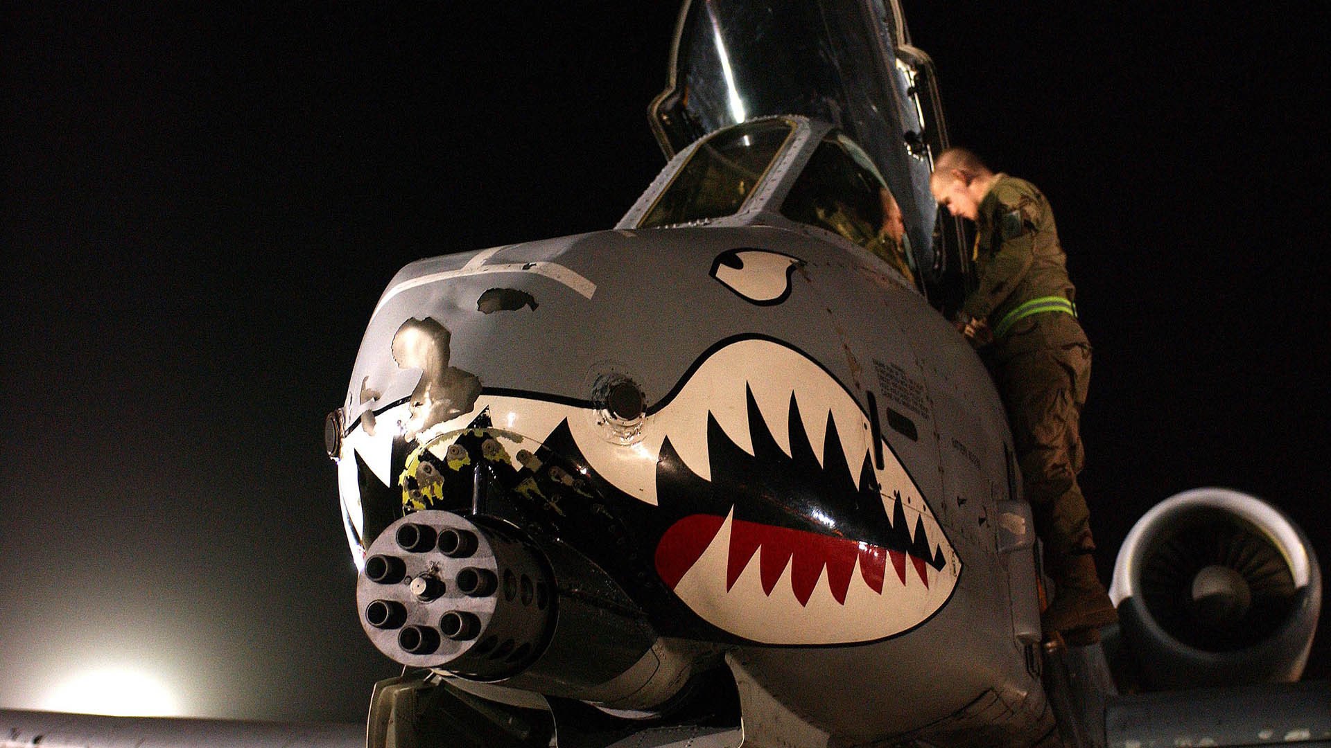 巴西马术协会举办马术运动员国际交流活动,促进文化互鉴。,巴西奥运会马术冠军