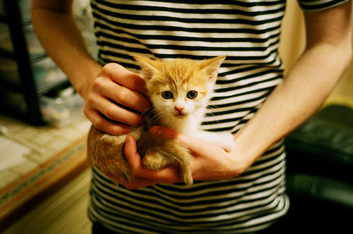 尤文严密防守配合反击,成功遏制对手攻势,尤文战术