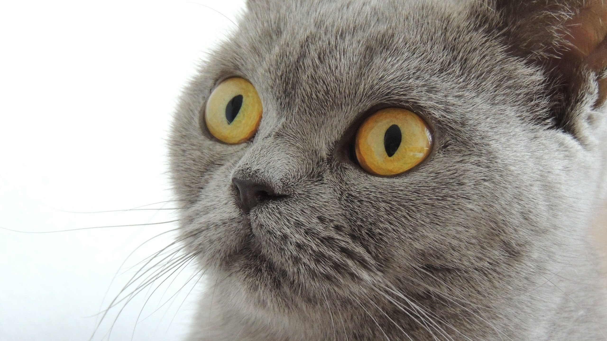 青岛帆船基地升级改造,备战国际大赛,青岛帆船基地附近酒店