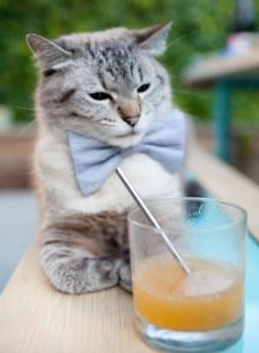 巴黎豪胜里昂,展现雄心向对手发起挑战,巴黎豪庭