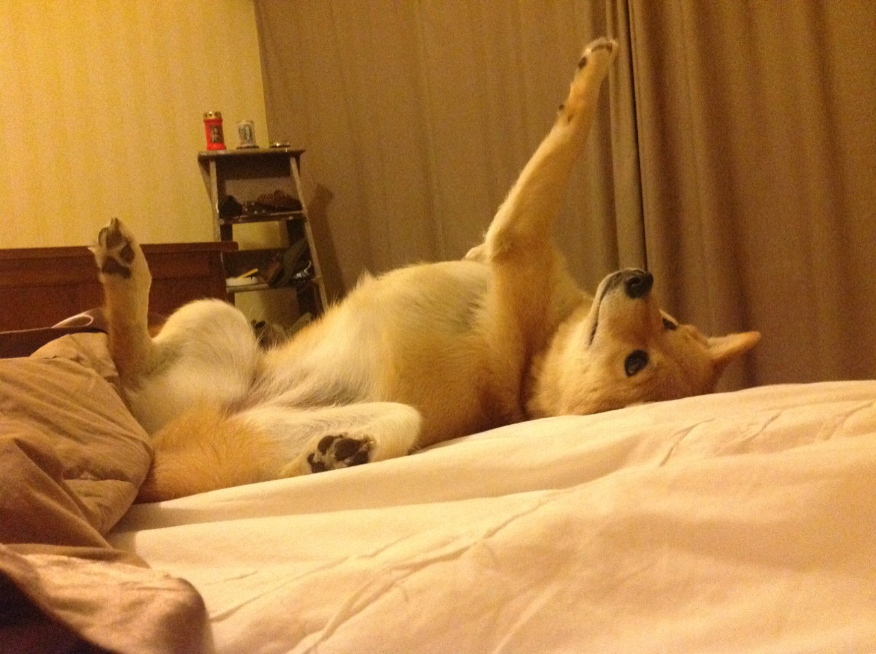 熊猫体育平台-格拉纳达在客场比赛中实现胜利，士气高涨，格拉纳达换帅