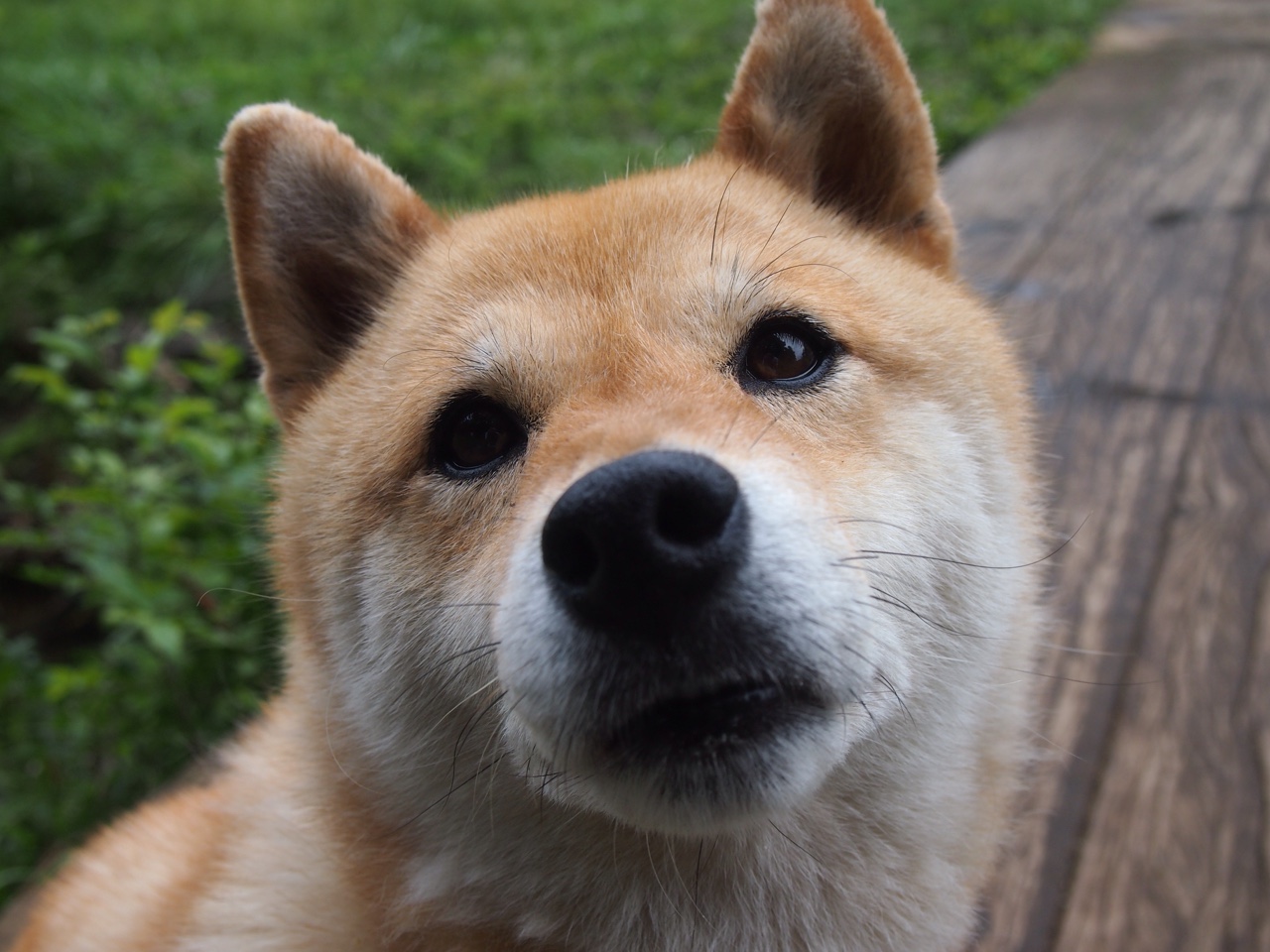 西班牙联赛赛程调整引关注,西班牙联合赛程