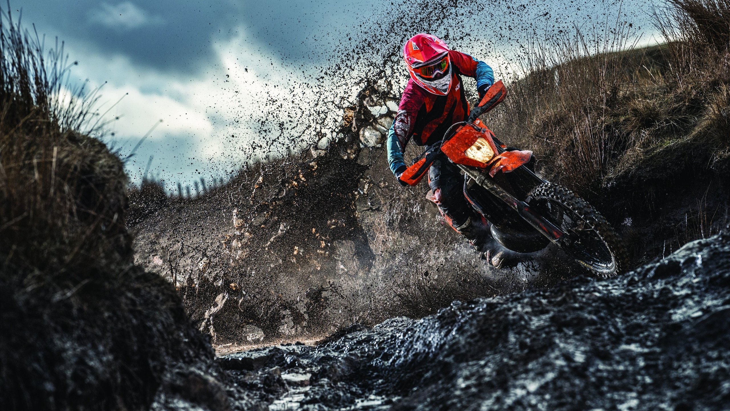 混合泳项目突尼斯女将表现均衡,女子混合泳名将